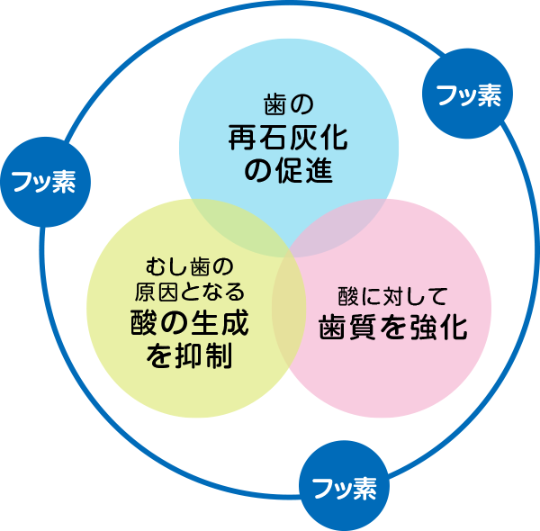 フッ素のむし歯予防のイメージ