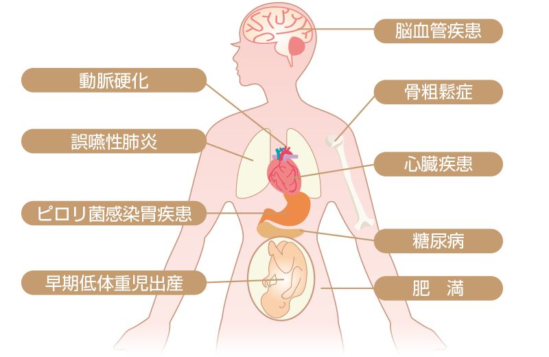 歯周病と全身の関わり