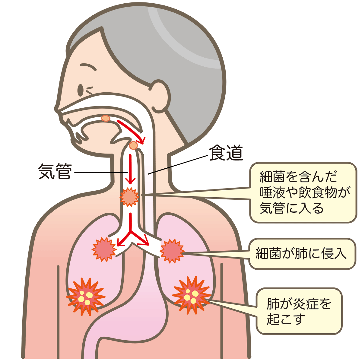 口腔問題は全身の健康に関連